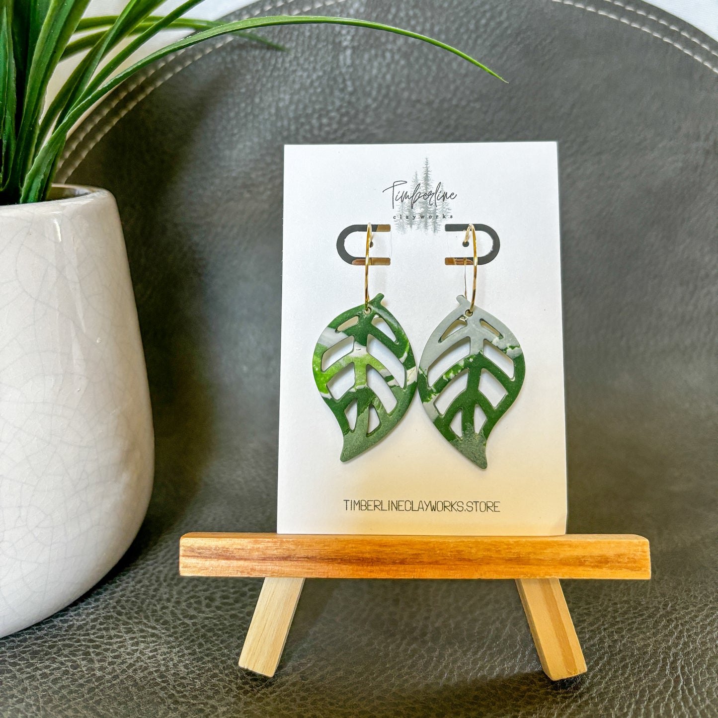 Variegated Pothos Dangle