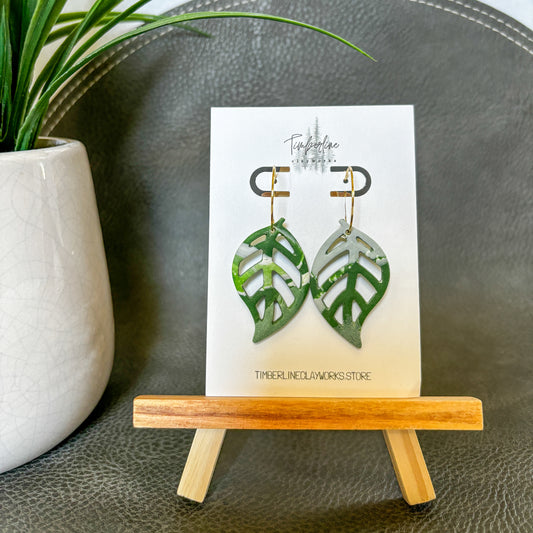 Variegated Pothos Dangle